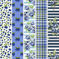 Blueberries MM 4