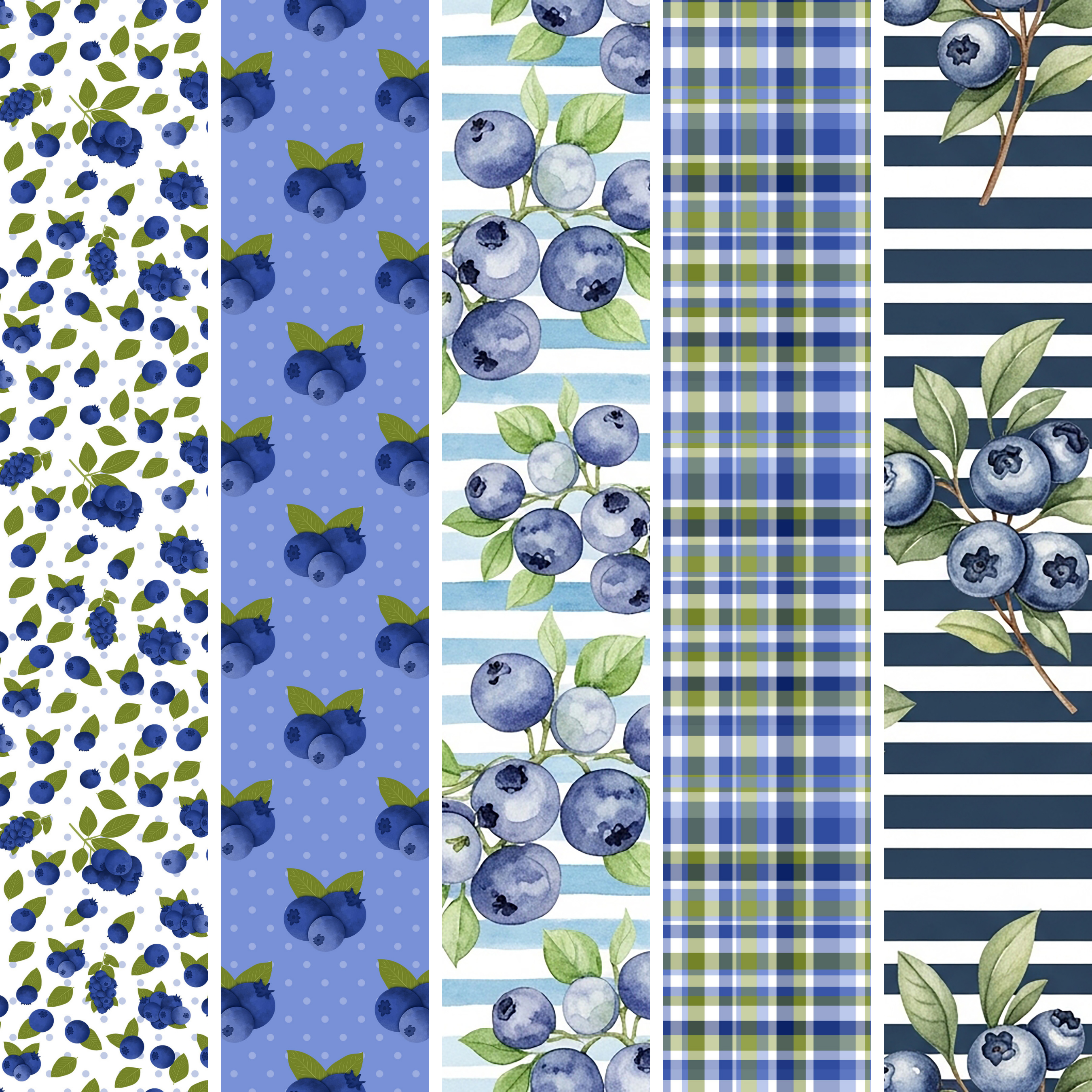 Blueberries MM 4