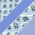 Blueberries MM 5
