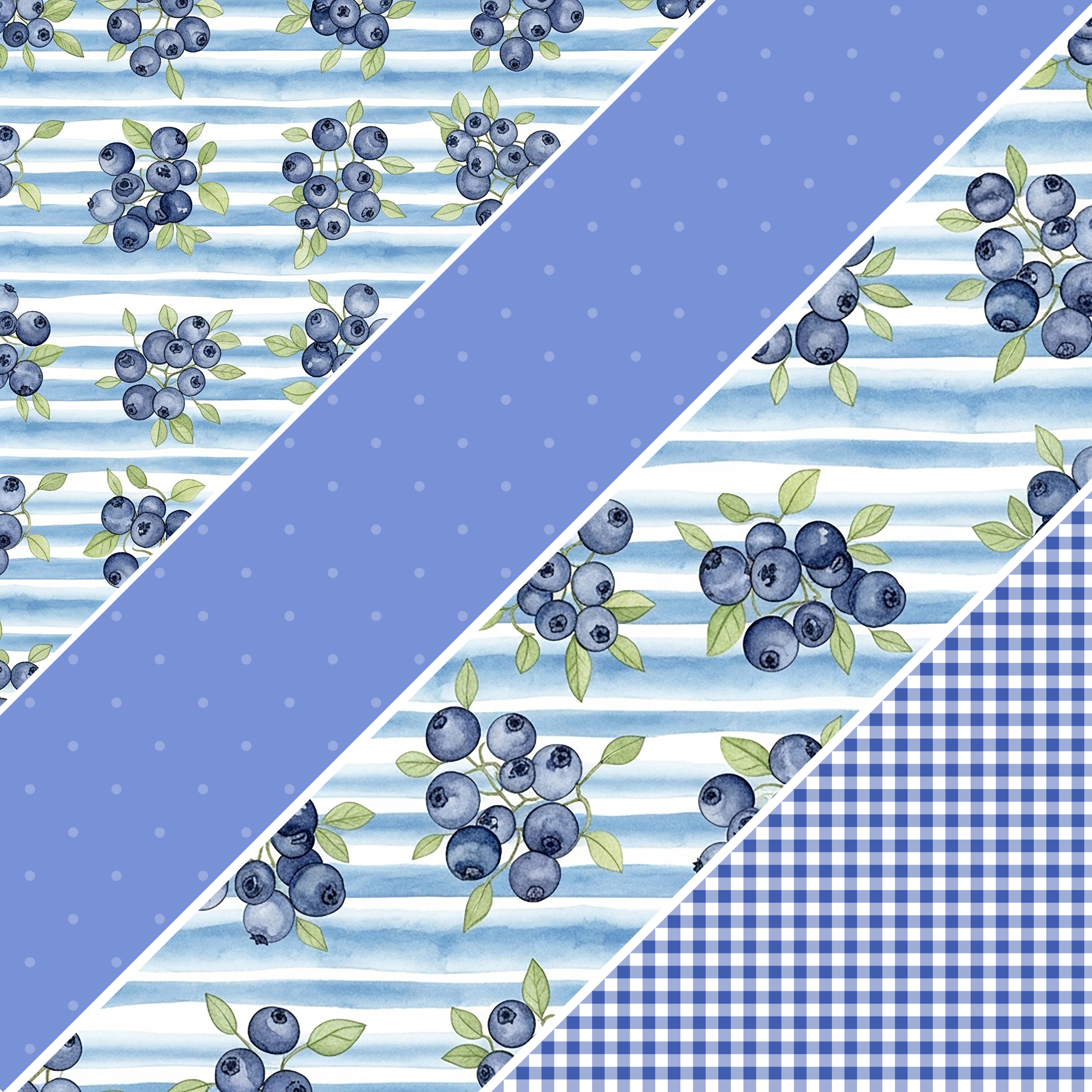 Blueberries MM 5