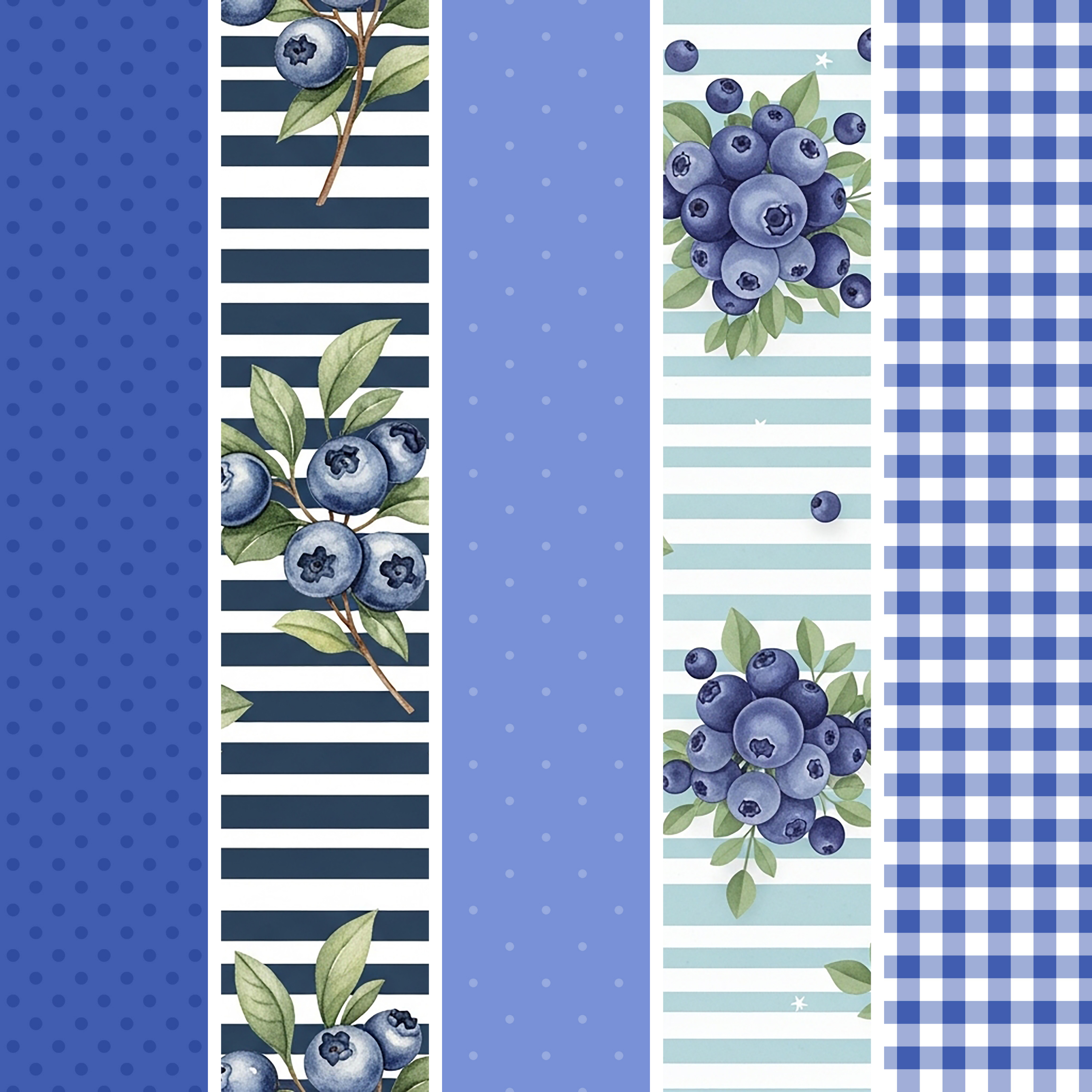 Blueberries MM 6