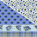 Blueberries MM 7