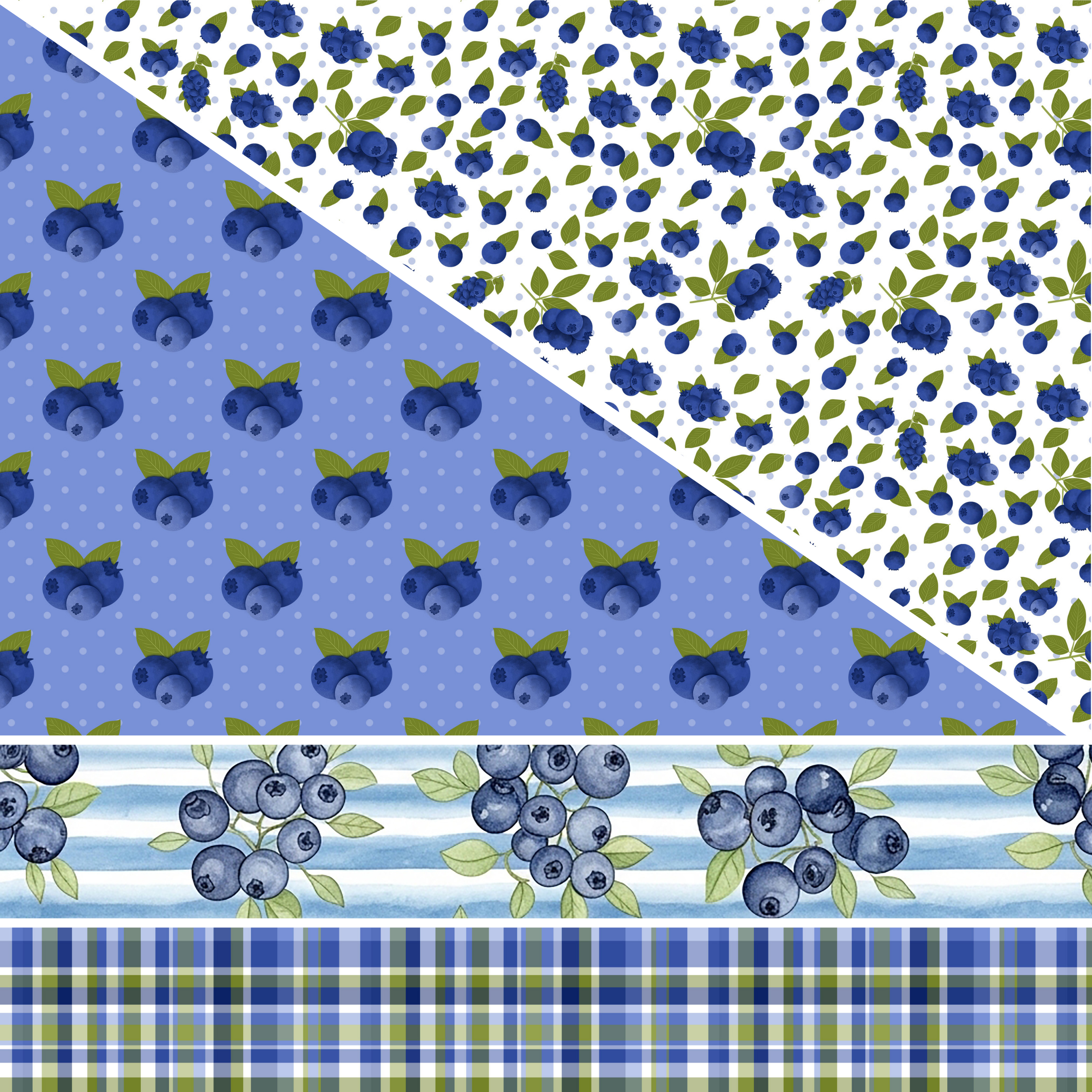Blueberries MM 7