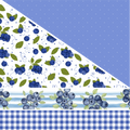 Blueberries MM 8