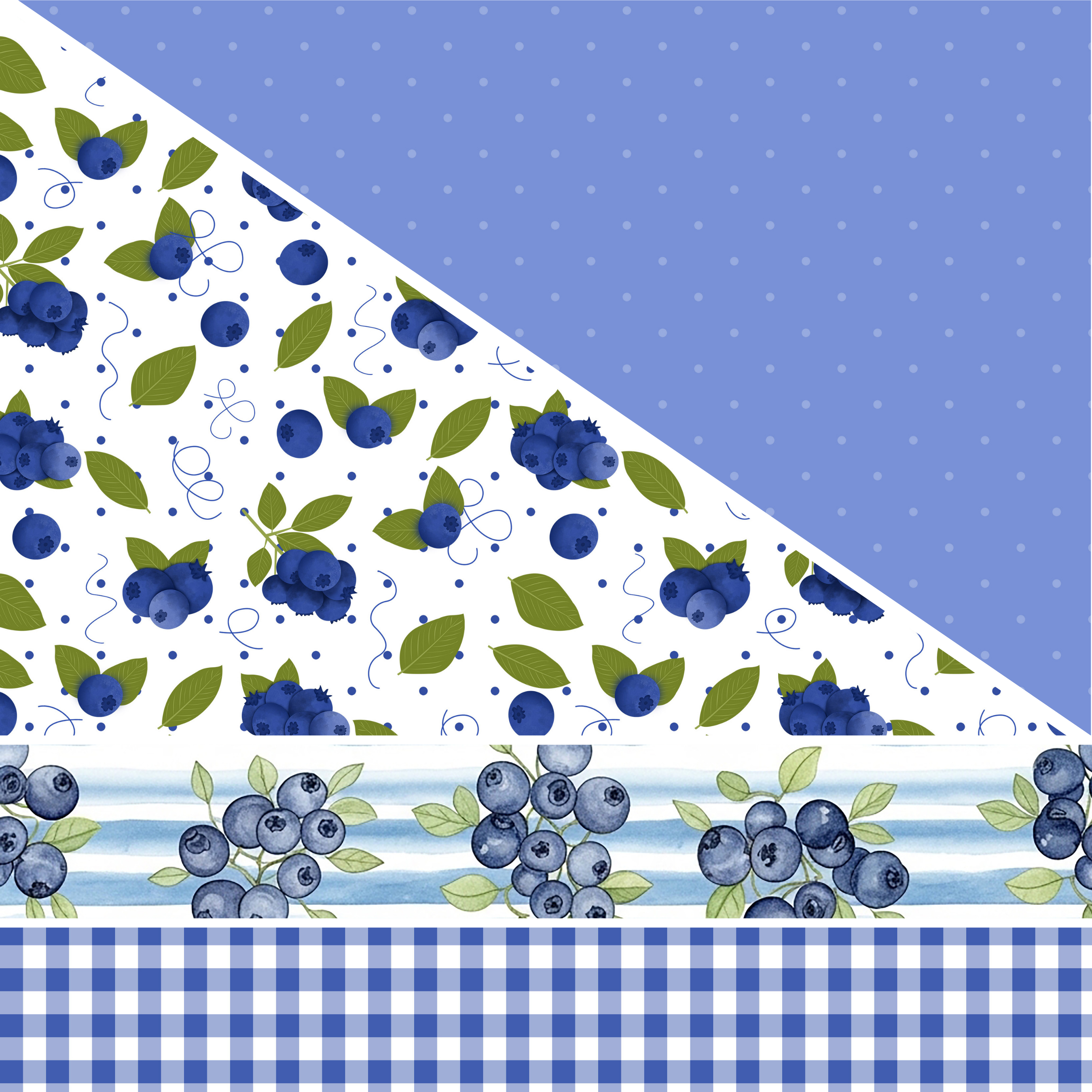 Blueberries MM 8