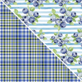 Blueberries MM 9