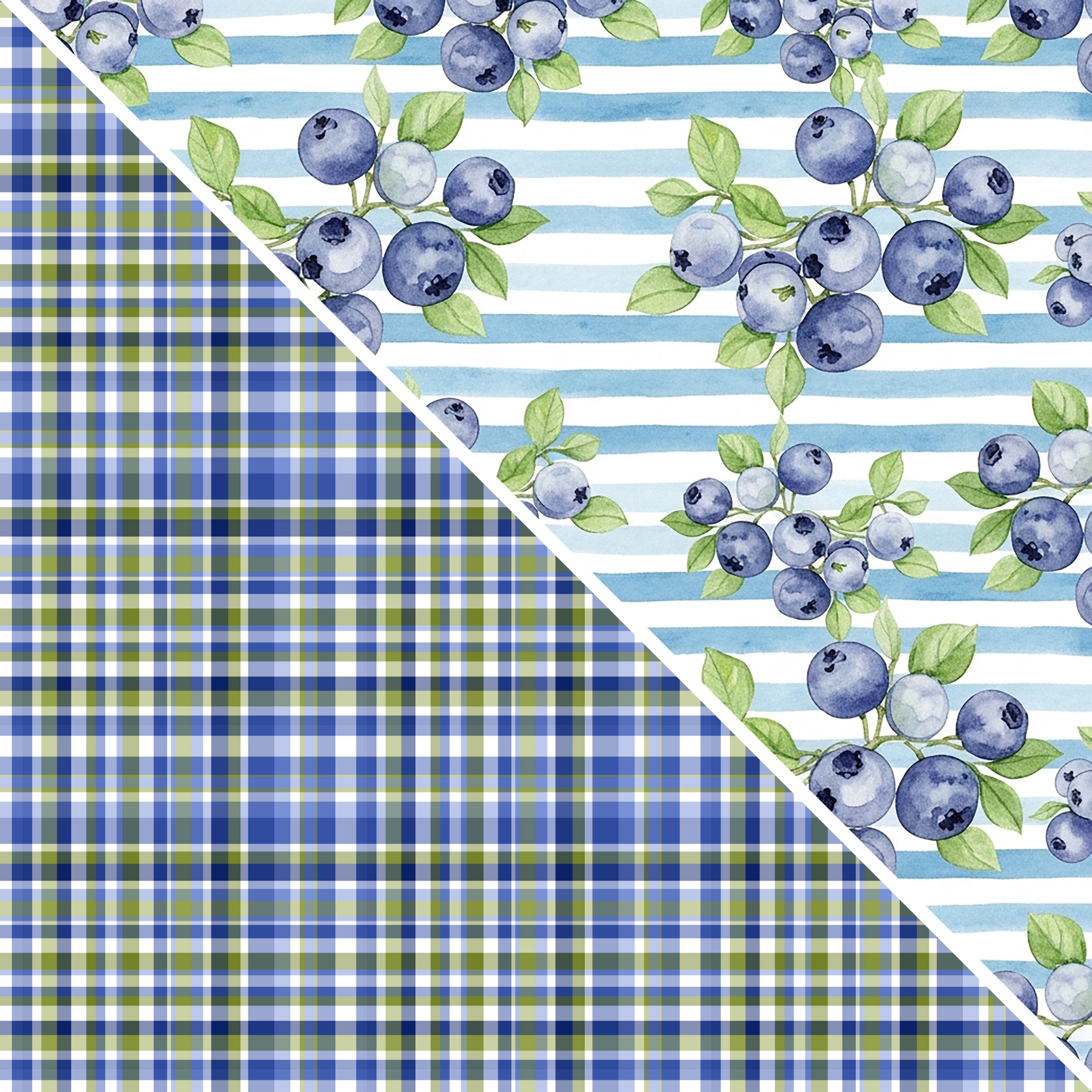Blueberries MM 9