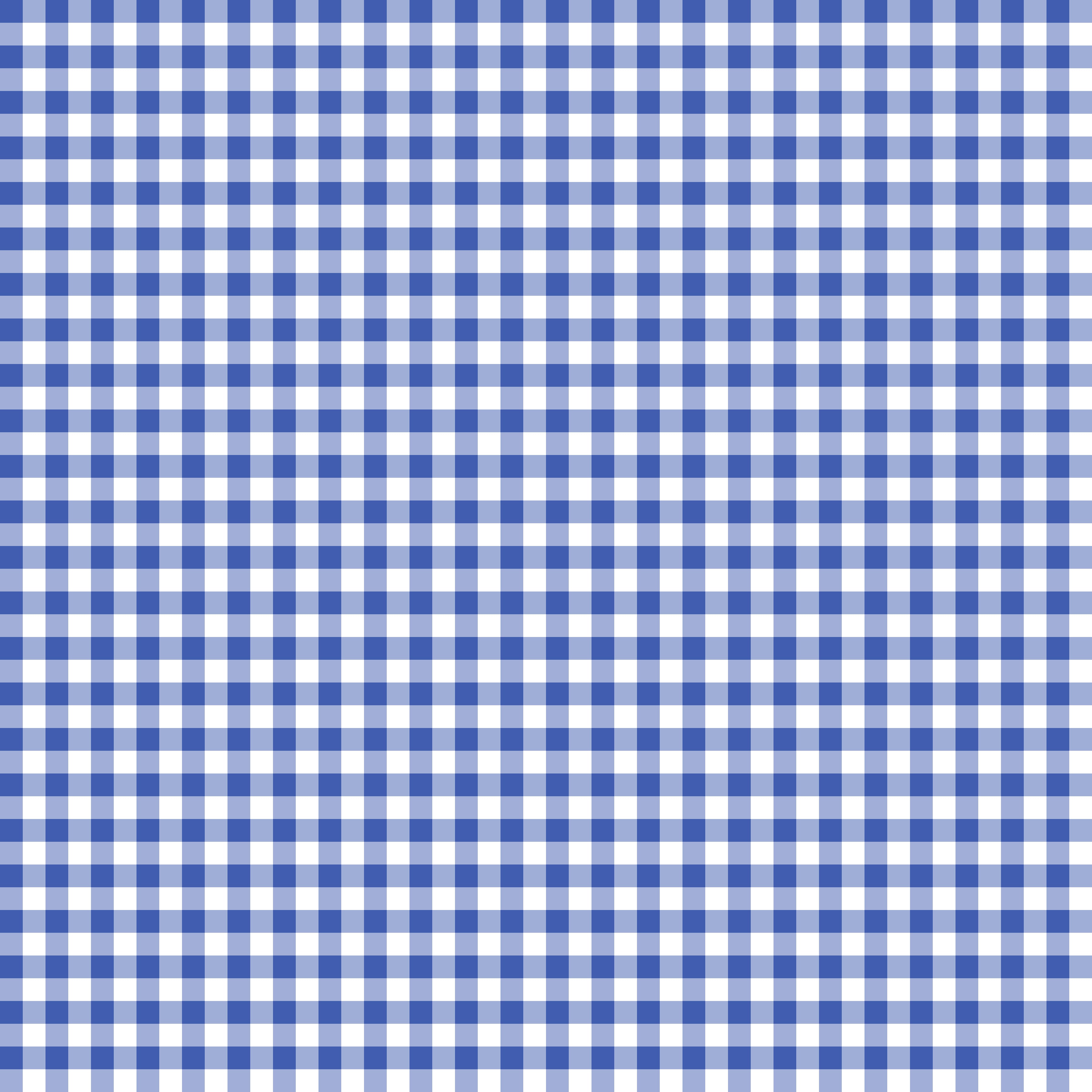 Blueberries Vinyl 10