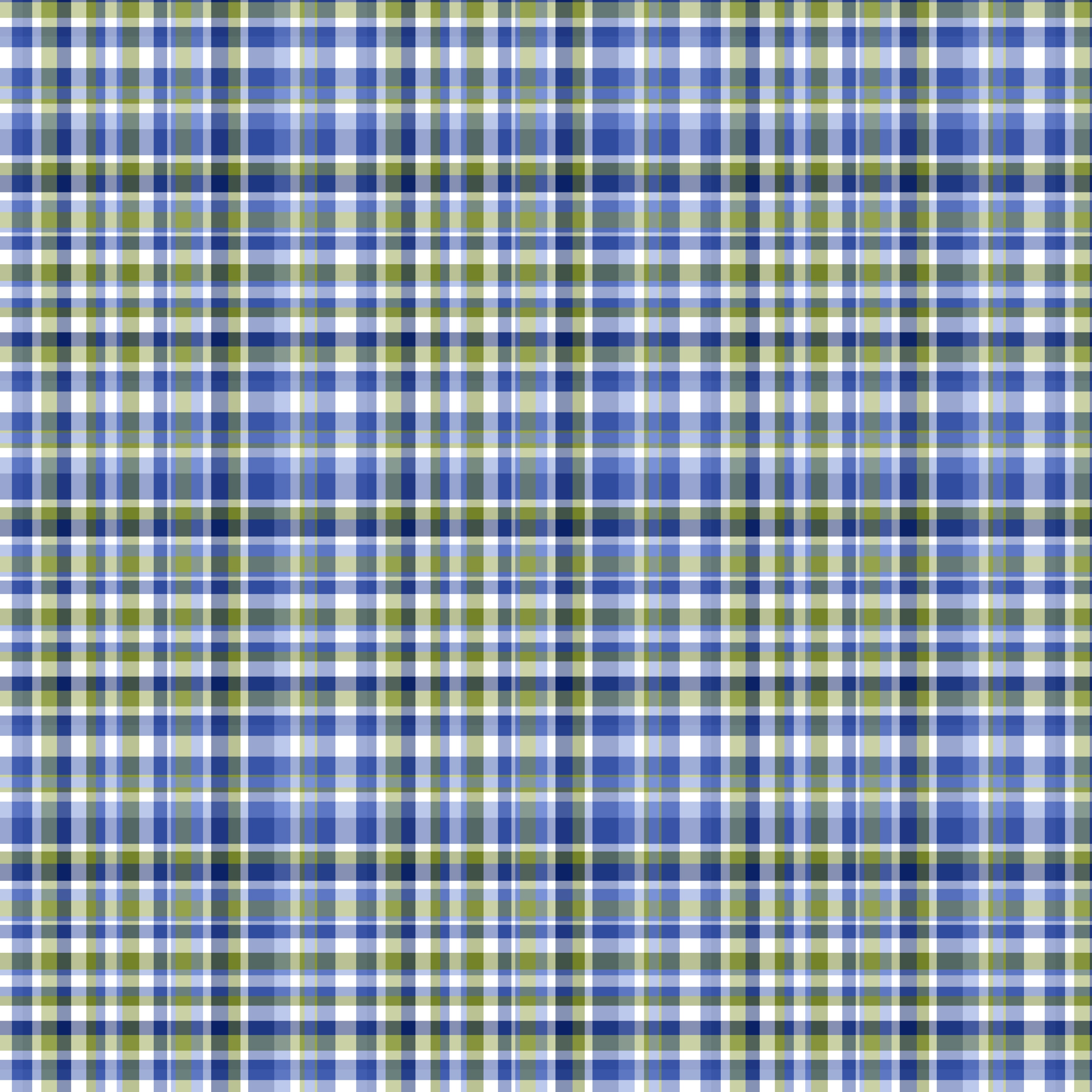 Blueberries Vinyl 11