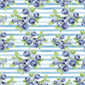 Blueberries Vinyl 13