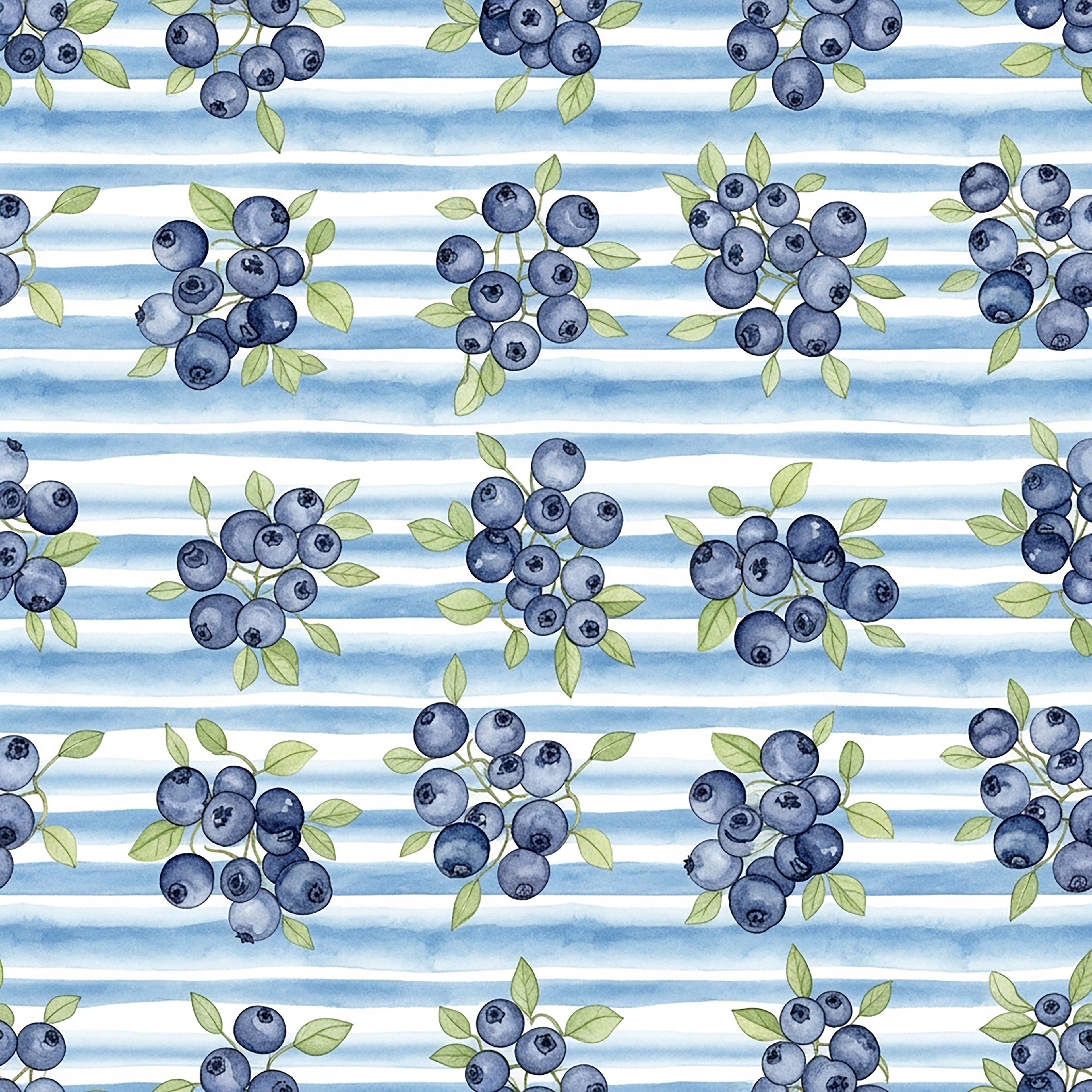 Blueberries Vinyl 16