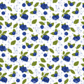Blueberries Vinyl 2