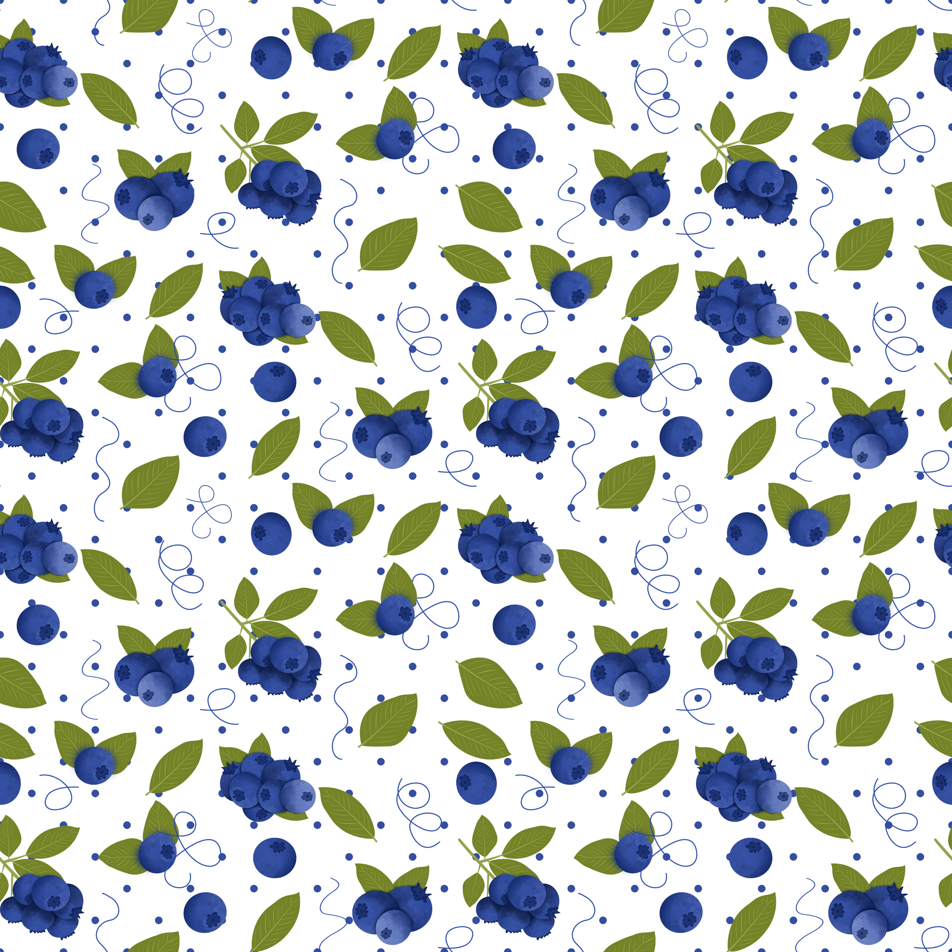 Blueberries Vinyl 2
