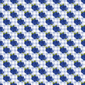 Blueberries Vinyl 4