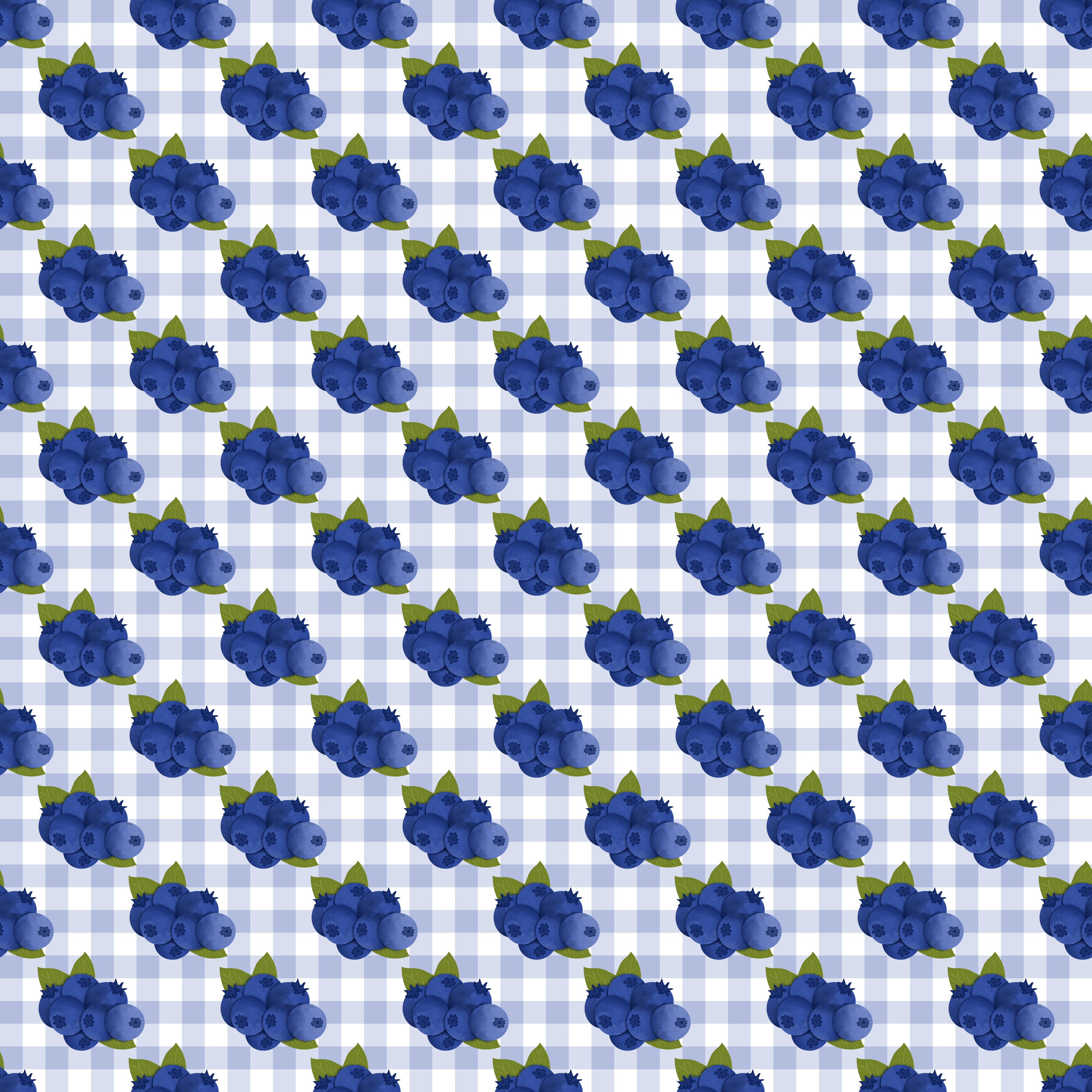 Blueberries Vinyl 4