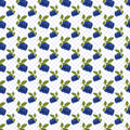 Blueberries Vinyl 5