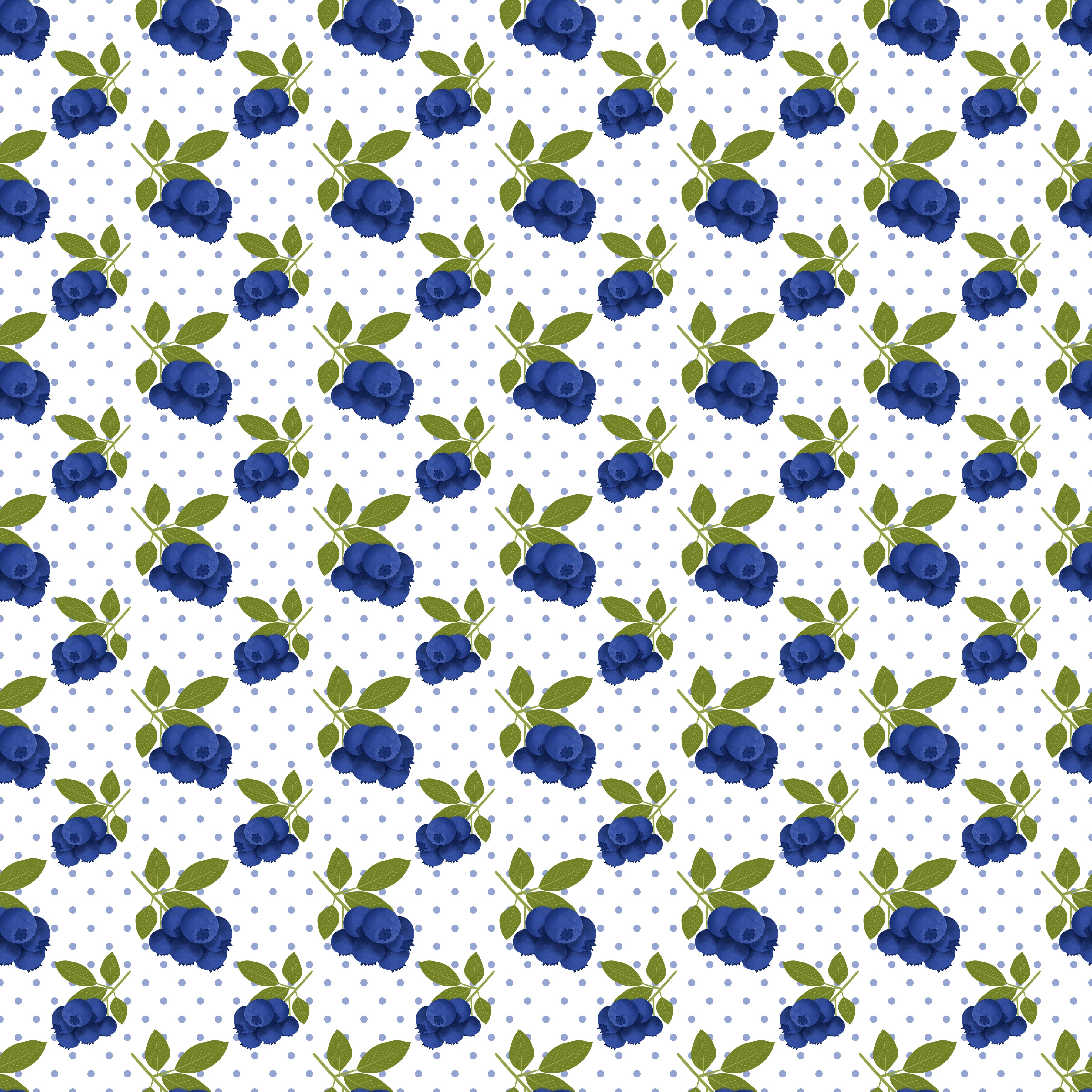 Blueberries Vinyl 5