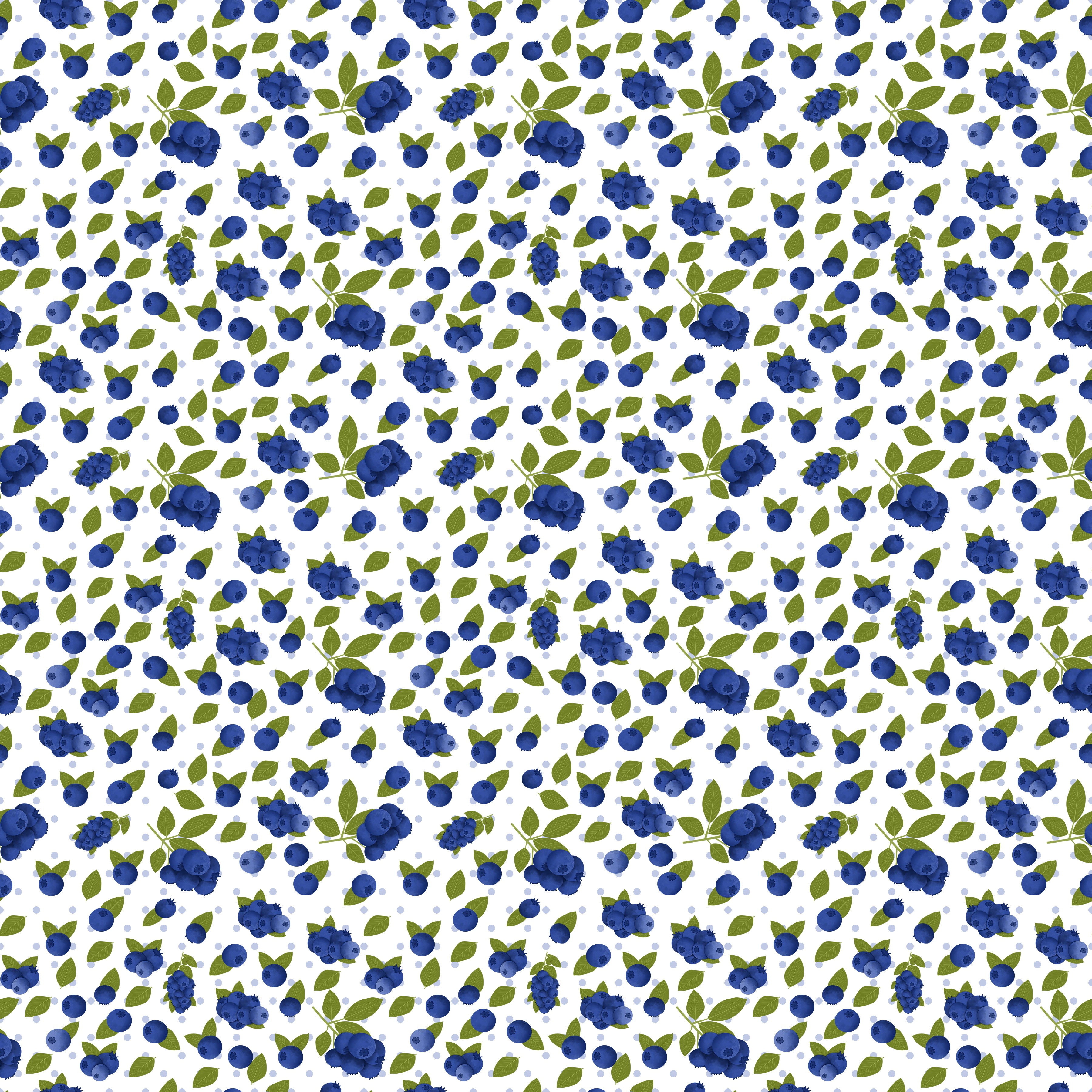 Blueberries Vinyl 6