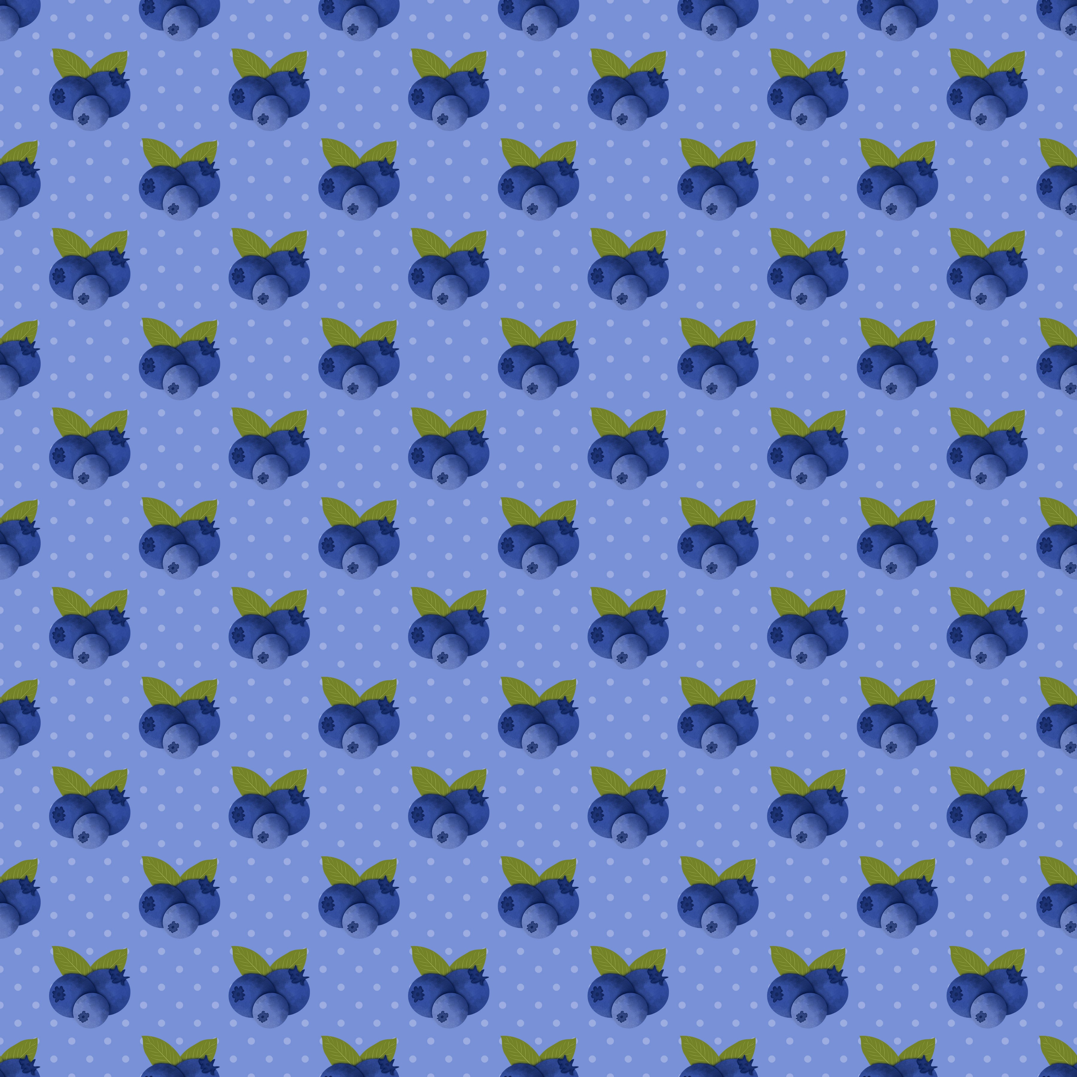 Blueberries Vinyl 7