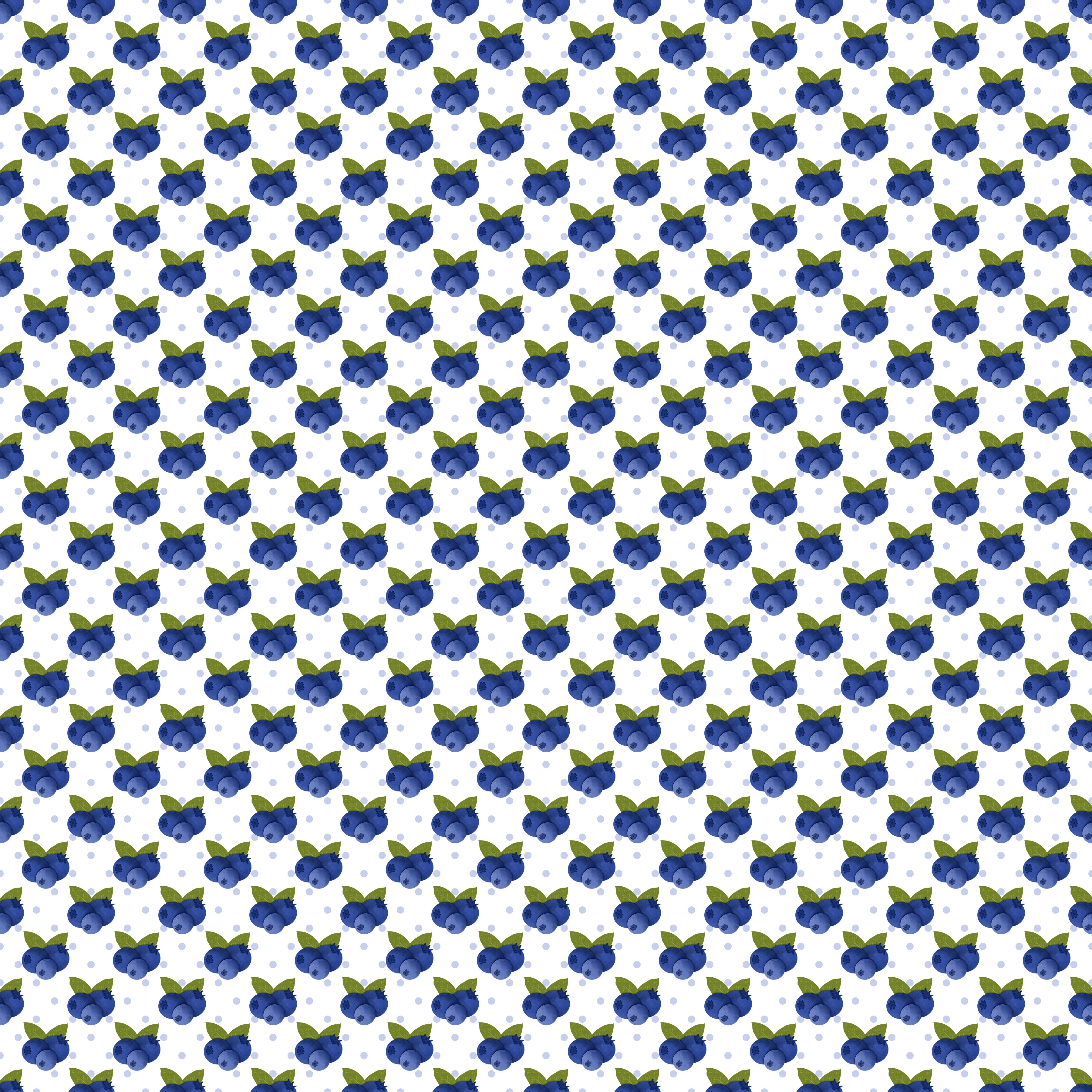 Blueberries Vinyl 8