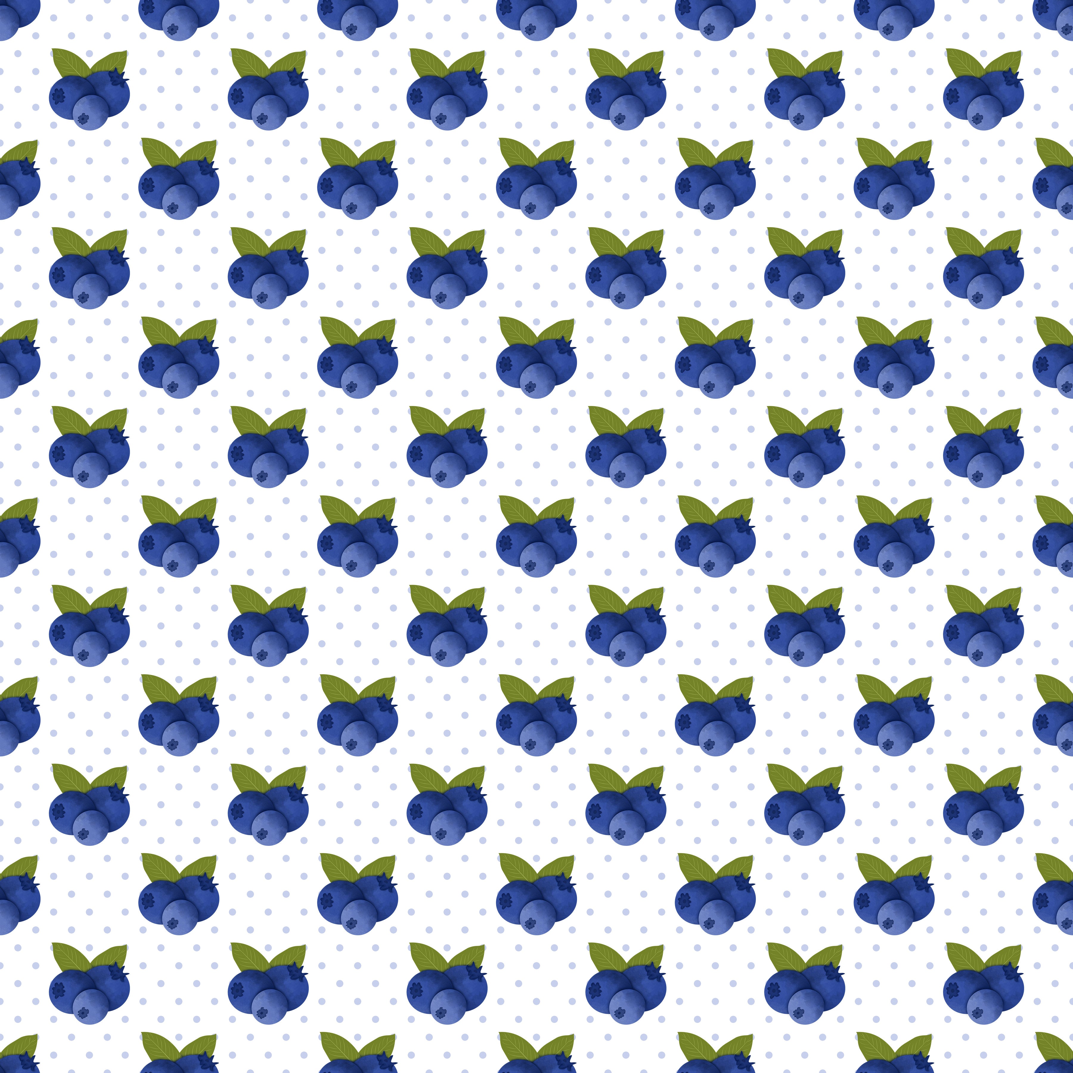 Blueberries Vinyl 9
