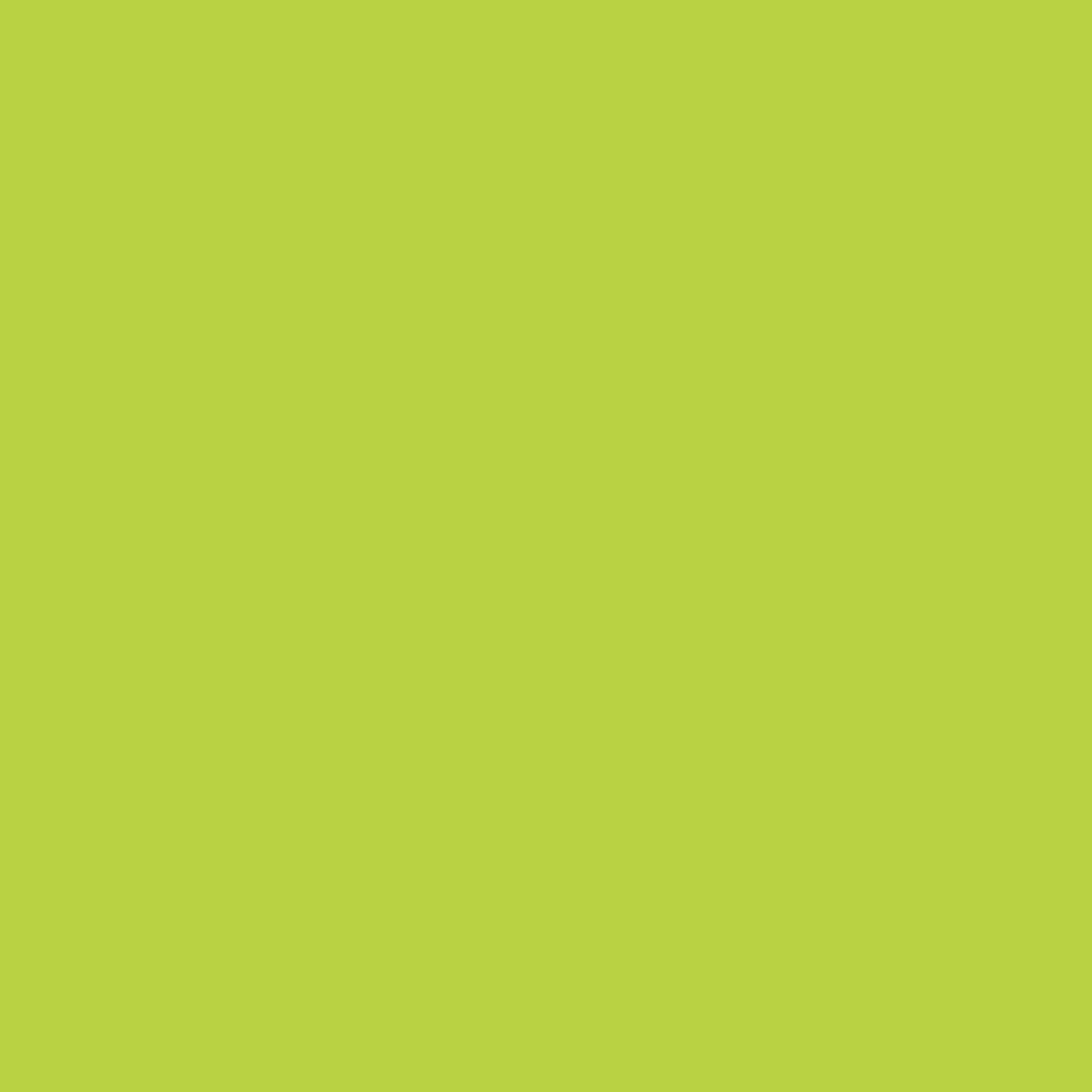 Bright Summer Vinyl 1