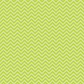 Bright Summer Vinyl 11
