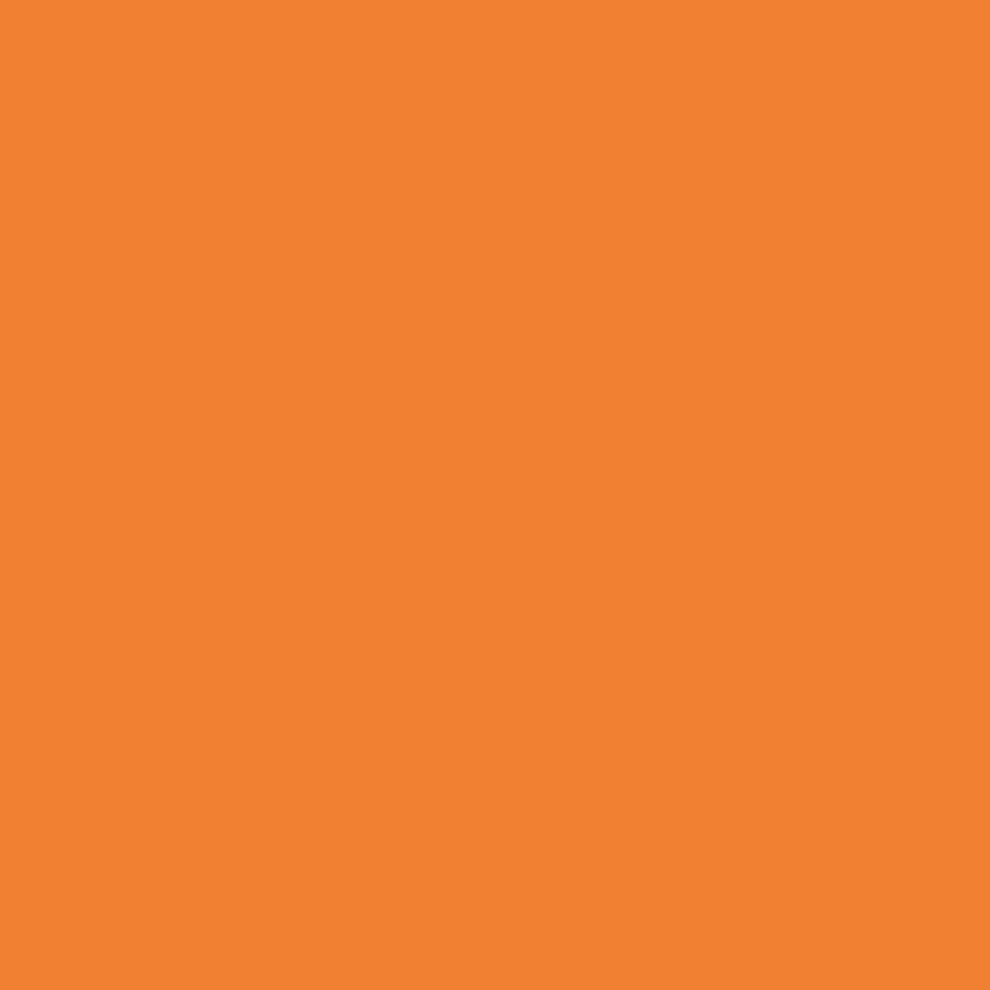 Bright Summer Vinyl 6