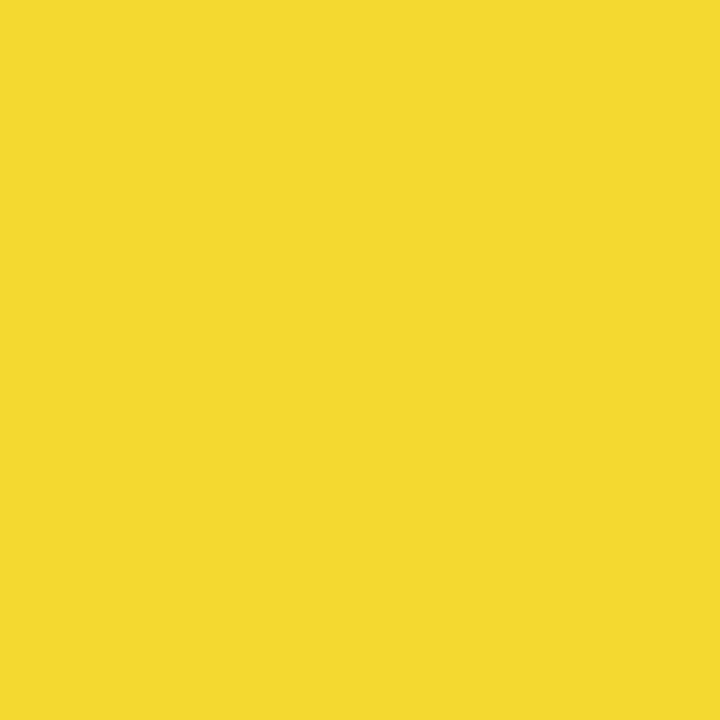 Bright Summer Vinyl 8