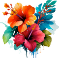 CLEAR Hibiscus 1