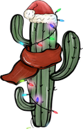 Collection K-Cactus