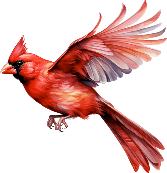 Cardinal 3