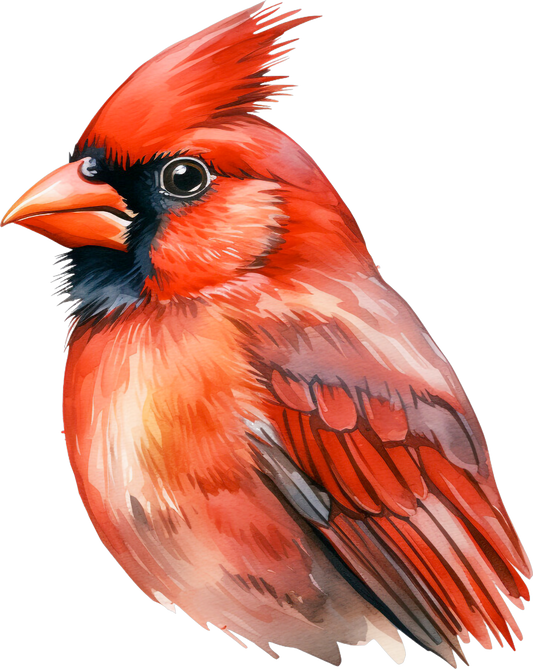 Cardinal 4