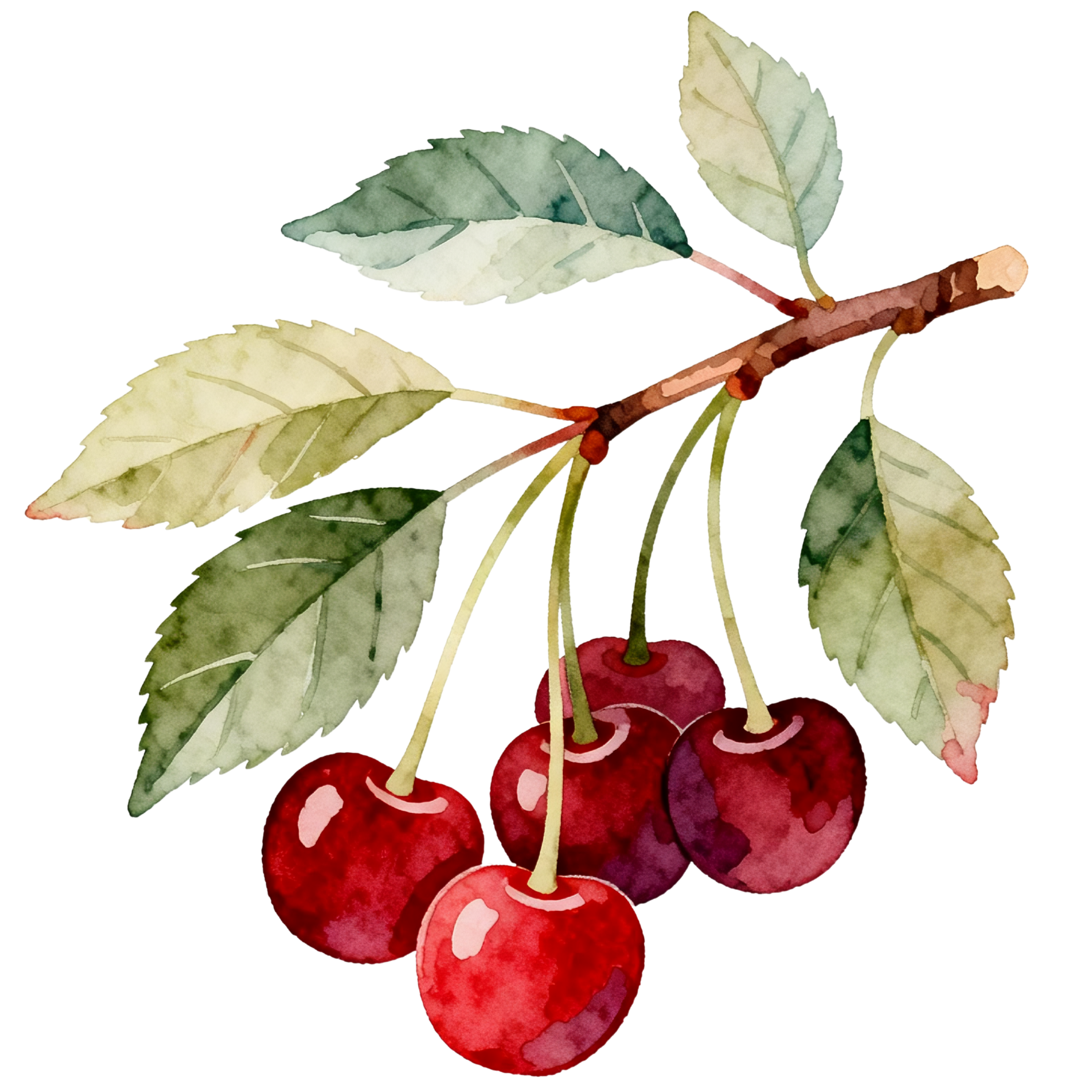 Cherries Decal 3
