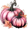 Classy Pink Pumpkin