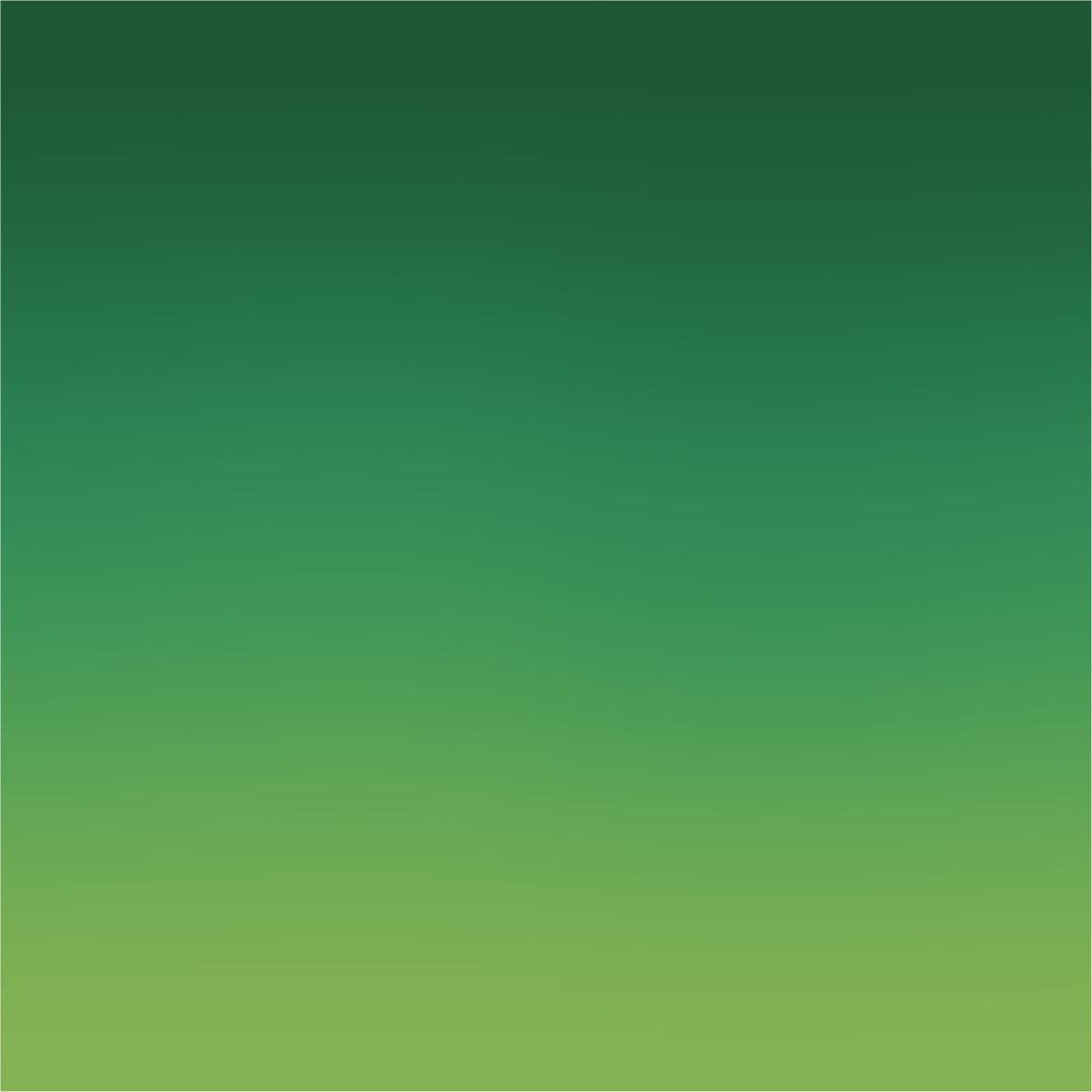 St. Patrick's Day Collection 1