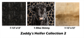 Zaddy's Heifer Collection 2