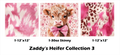 Zaddy's Heifer Collection 3