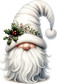 Collection White Gnome 1