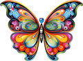 Color Burst Butterfly