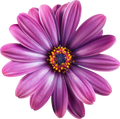 Colorful Love- Decal 19