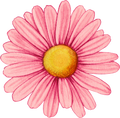 Colorful Love- Decal 23