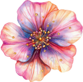 Colorful Love- Decal 9