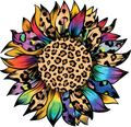 Colorful leopard sunflower