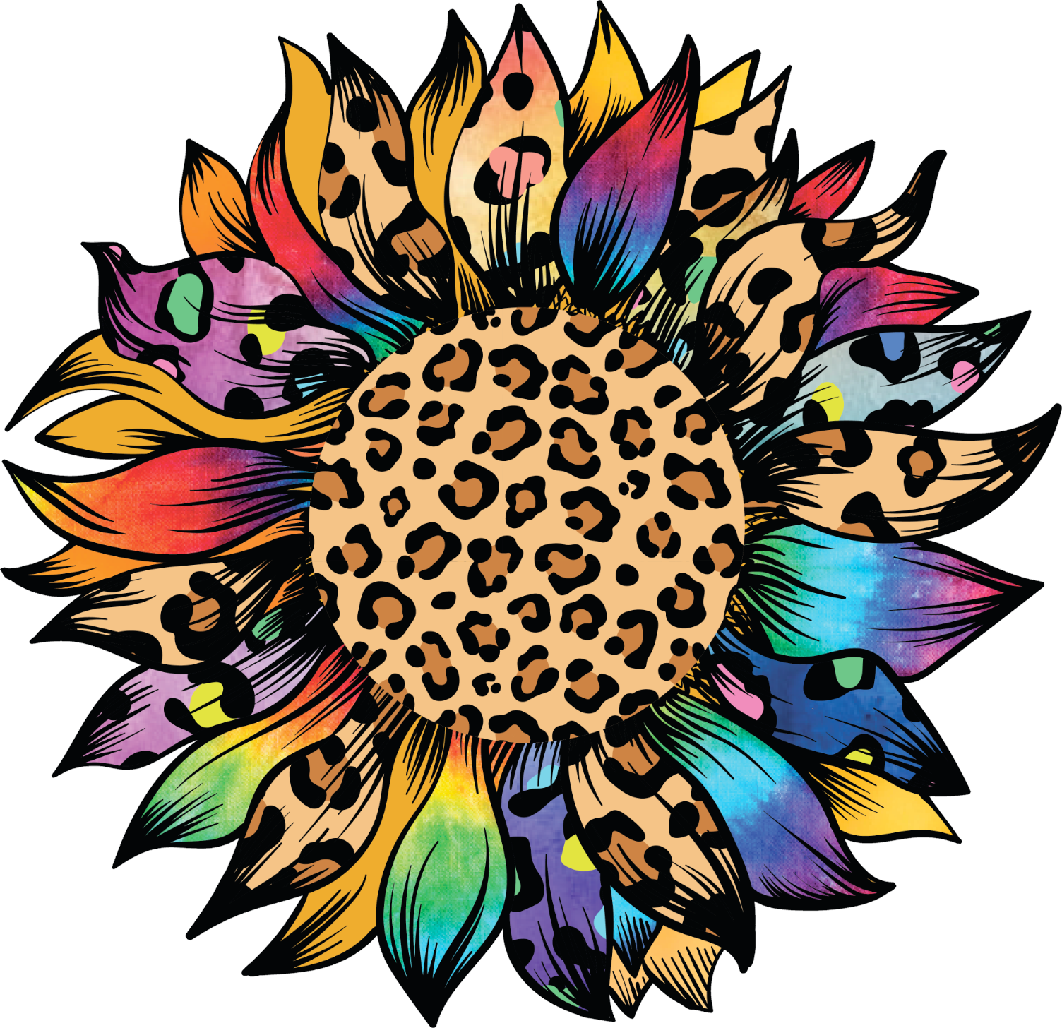 Colorful leopard sunflower