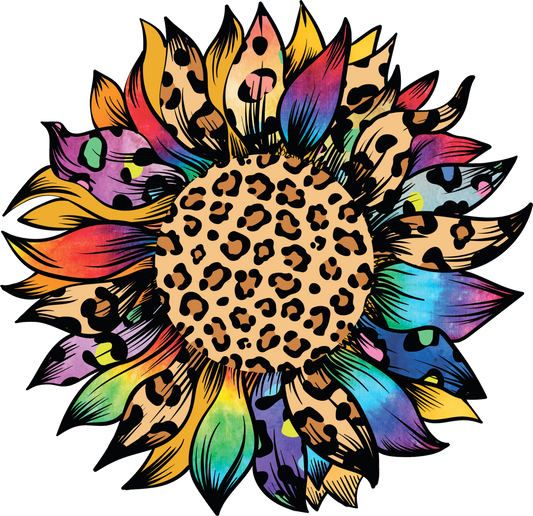 Colorful leopard sunflower