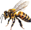 Autumn Bee Collection- Decal 10