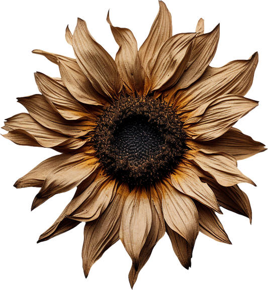 Autumn Decal 11