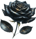 Gothic Collection 1- Decal 6