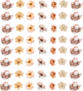 RoseWood Western Collection- Element Sheet